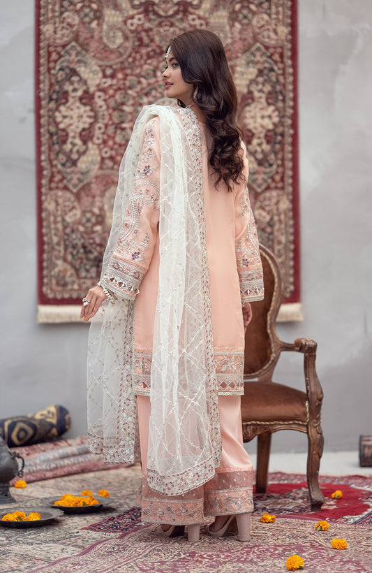 Ready to Wear 3 Piece Formal Embroidered Organza Suit