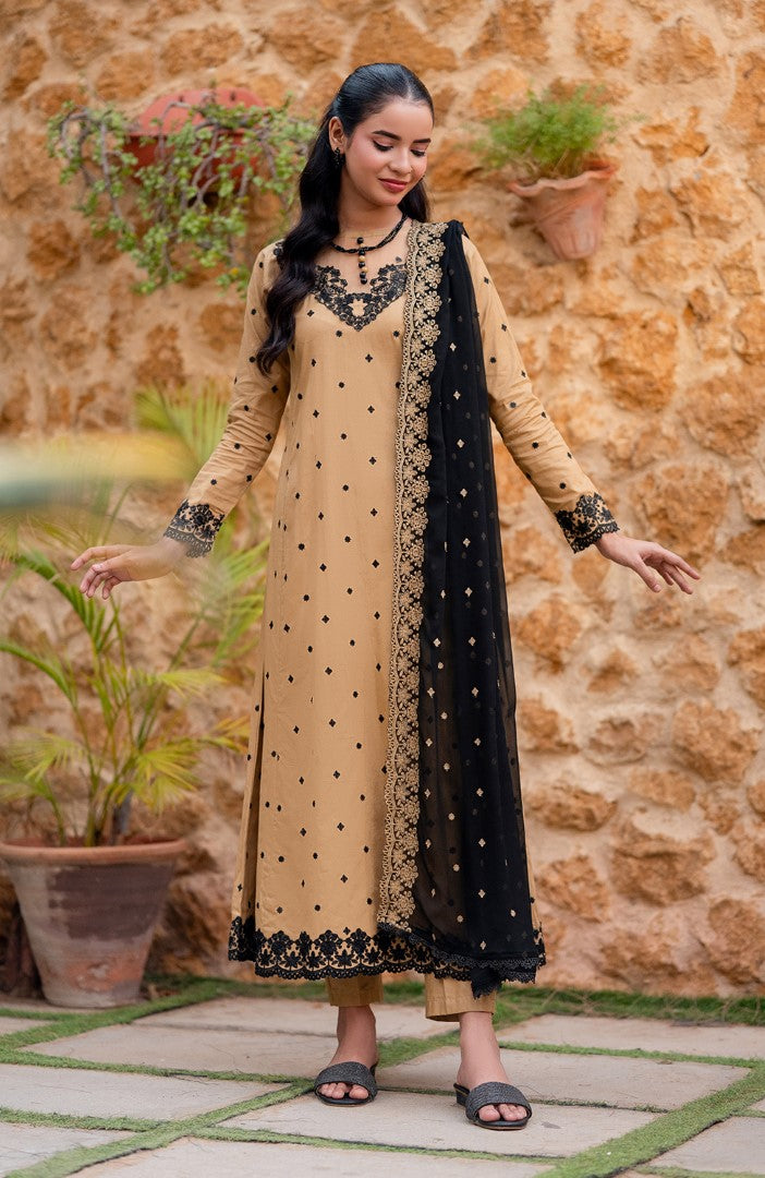 Ready to Wear 3 Piece Embroidered Lawn Suit