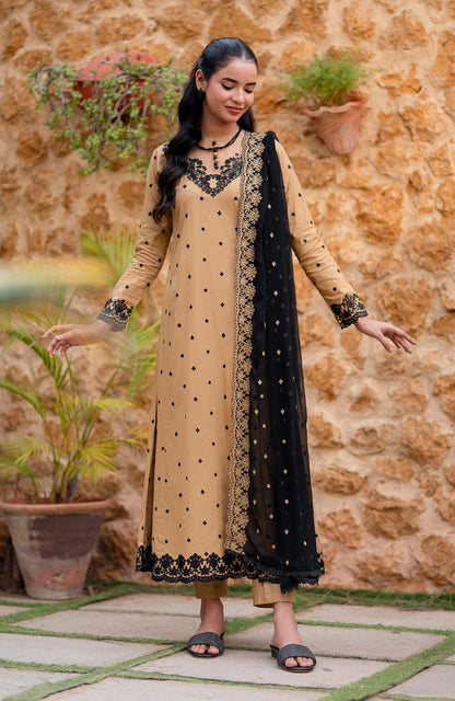 Ready to Wear 3 Piece Embroidered Lawn Suit
