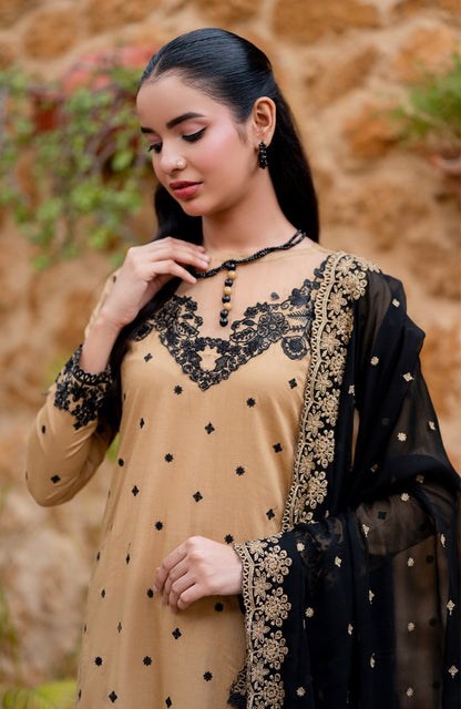 Ready to Wear 3 Piece Embroidered Lawn Suit