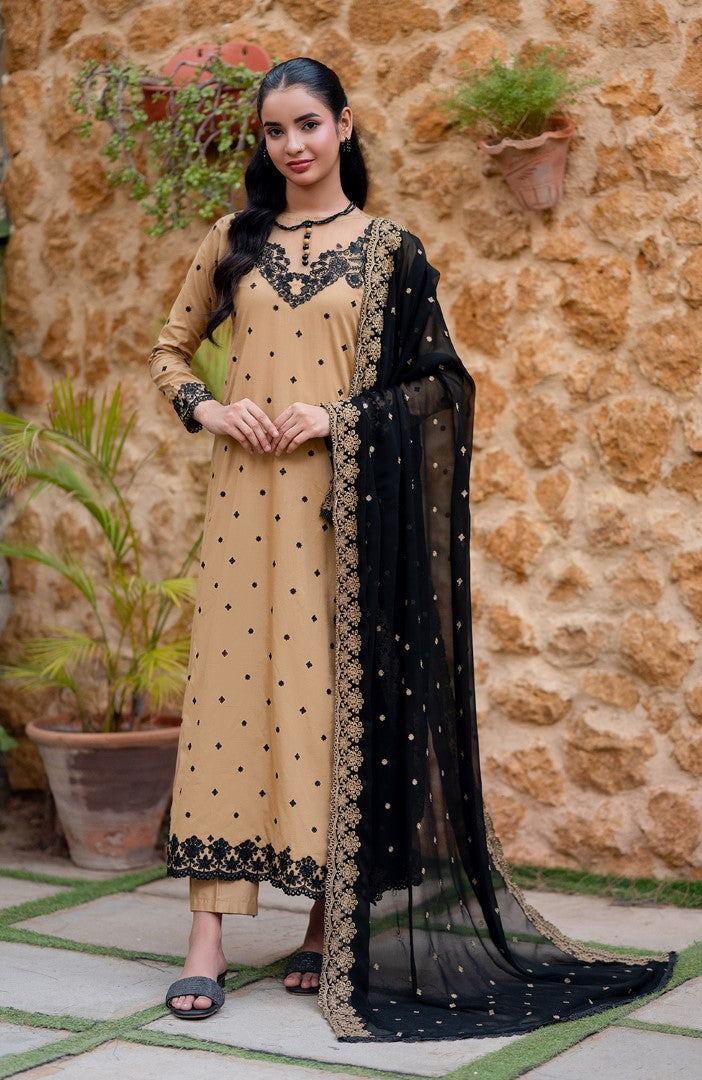 Ready to Wear 3 Piece Embroidered Lawn Suit
