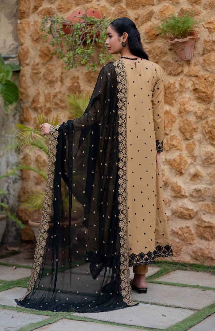 Ready to Wear 3 Piece Embroidered Lawn Suit