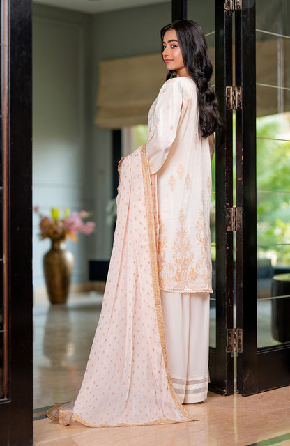 Ready to Wear 3 Piece Banarsi Lawn Formal Suit