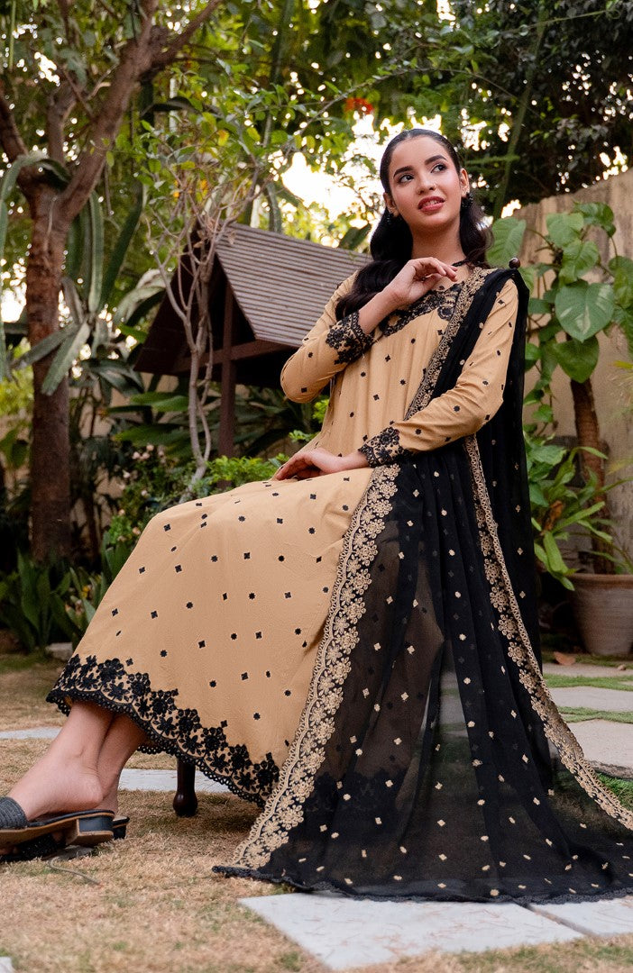 Ready to Wear 3 Piece Embroidered Lawn Suit
