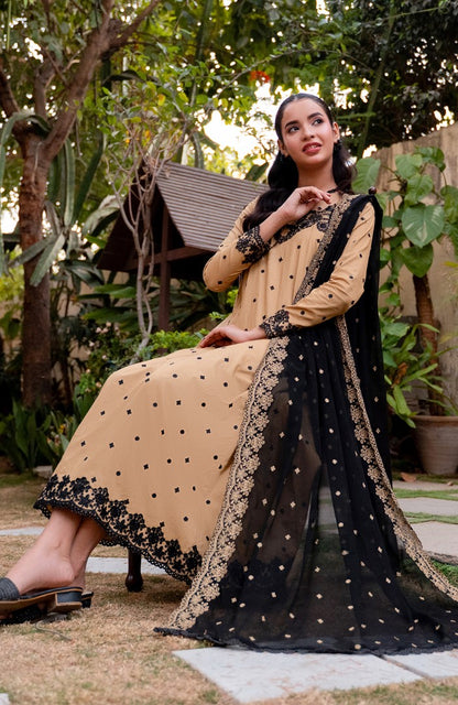 Ready to Wear 3 Piece Embroidered Lawn Suit