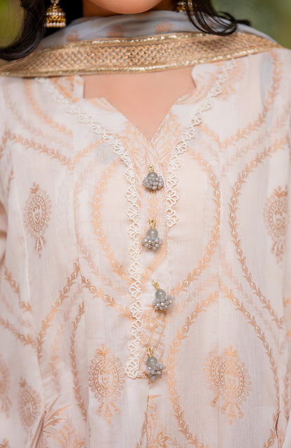 Ready to Wear 3 Piece Banarsi Lawn Formal Suit