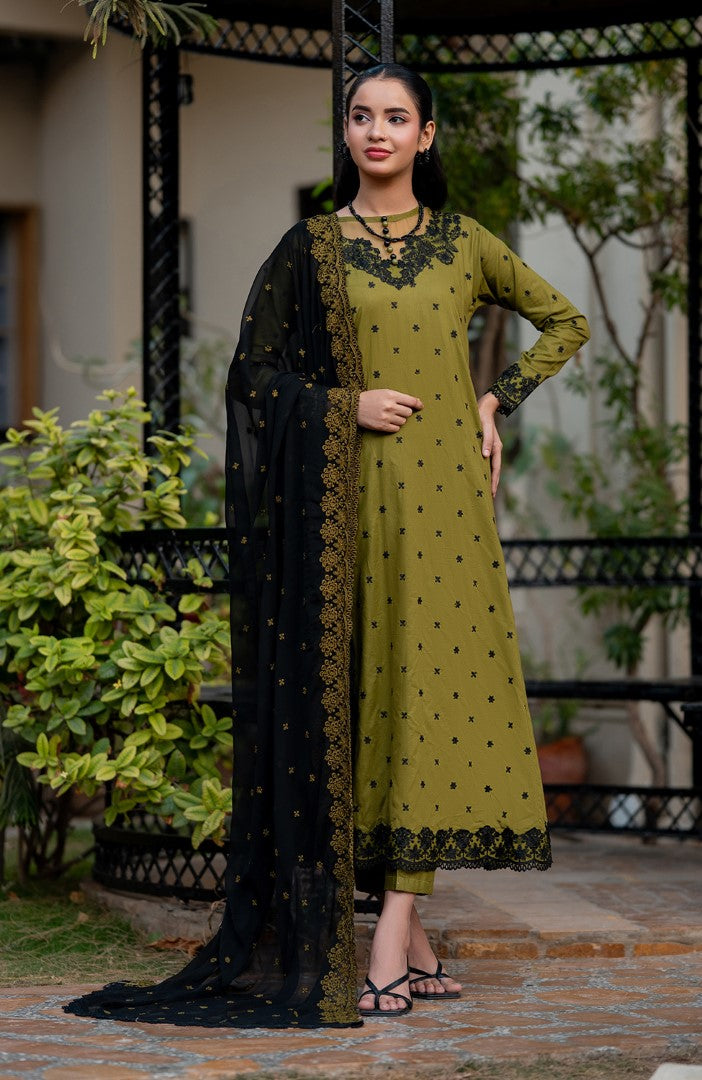 Ready to Wear 3 Piece Embroidered Lawn Suit