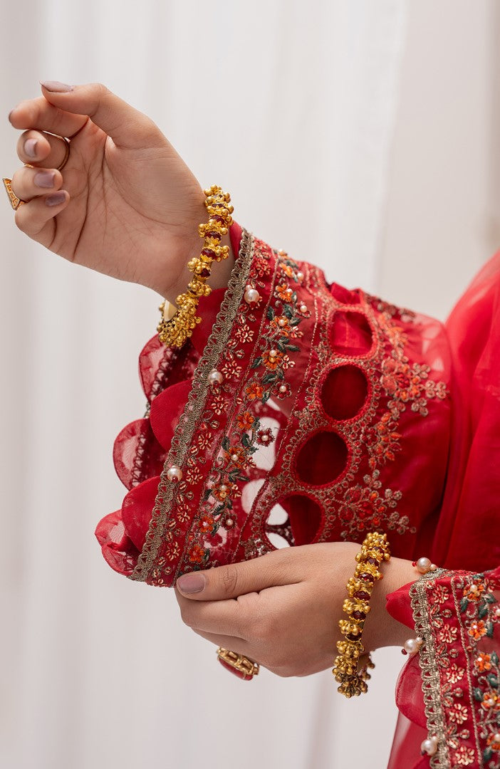 Ready to Wear 3 Piece Formal Embroidered Luxury Organza Suit