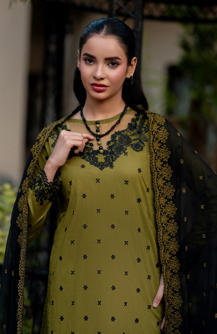 Ready to Wear 3 Piece Embroidered Lawn Suit