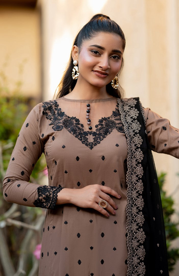 Ready to Wear 3 Piece Embroidered Lawn Suit
