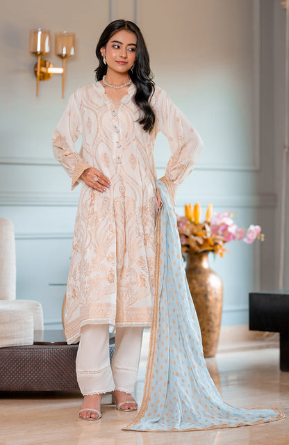 Ready to Wear 3 Piece Banarsi Lawn Formal Suit