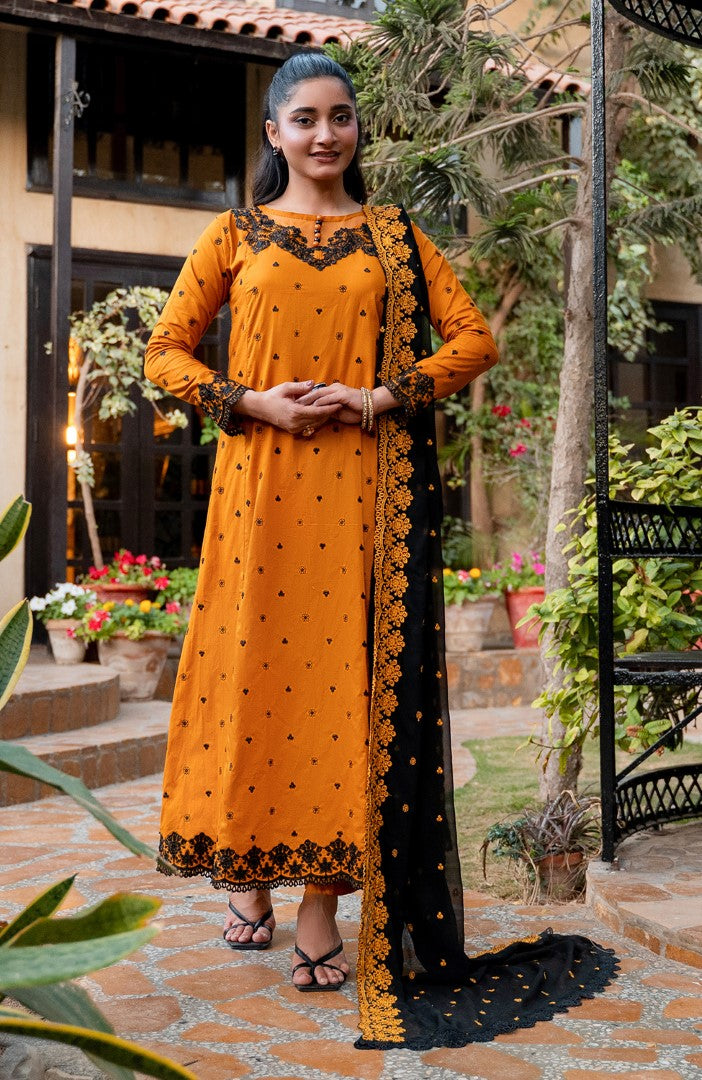Ready to Wear 3 Piece Embroidered Lawn Suit