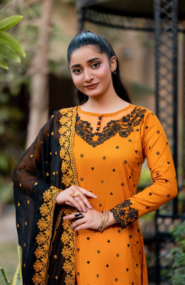 Ready to Wear 3 Piece Embroidered Lawn Suit