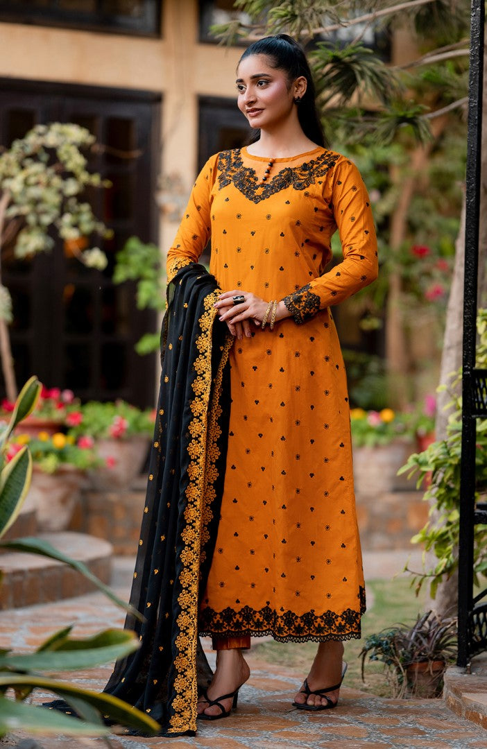 Ready to Wear 3 Piece Embroidered Lawn Suit