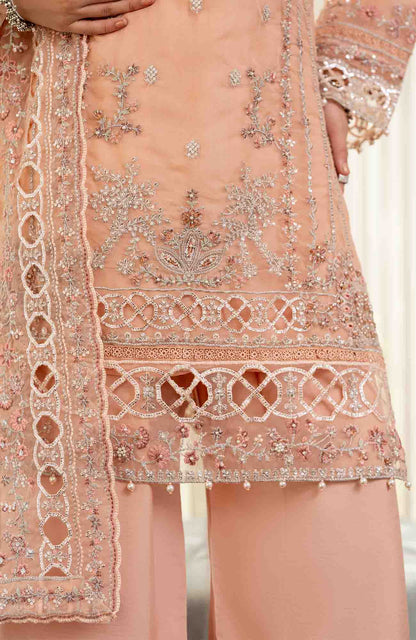 Ready to Wear 3 Piece Formal Embroidered Luxury Organza Suit