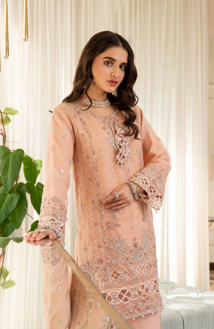 Ready to Wear 3 Piece Formal Embroidered Luxury Organza Suit
