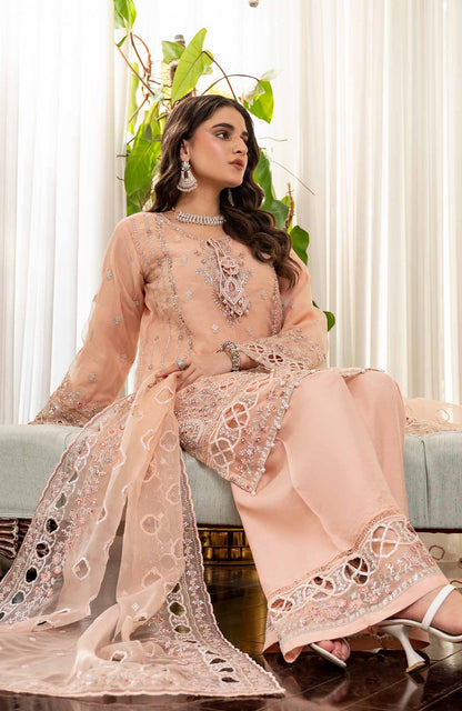 Ready to Wear 3 Piece Formal Embroidered Luxury Organza Suit