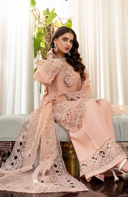 Ready to Wear 3 Piece Formal Embroidered Luxury Organza Suit