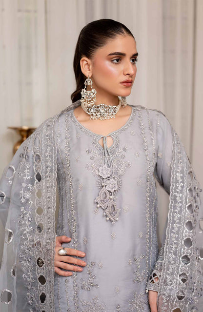 Ready to Wear 3 Piece Formal Embroidered Luxury Organza Suit