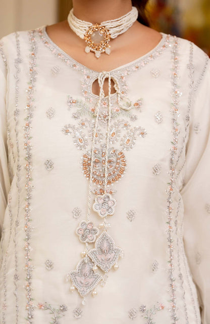 Ready to Wear 3 Piece Formal Embroidered Luxury Organza Suit