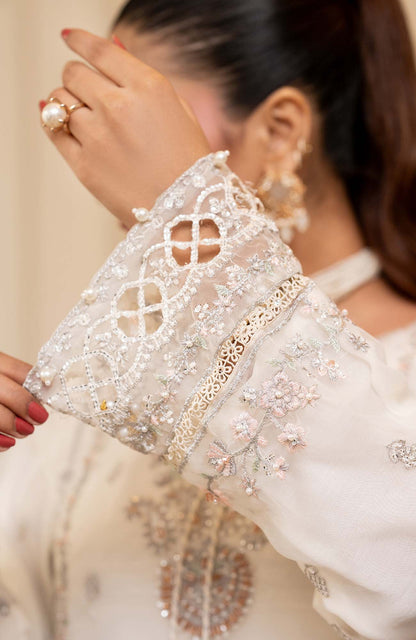 Ready to Wear 3 Piece Formal Embroidered Luxury Organza Suit