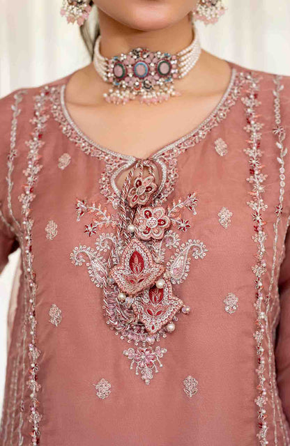 Ready to Wear 3 Piece Formal Embroidered Luxury Organza Suit