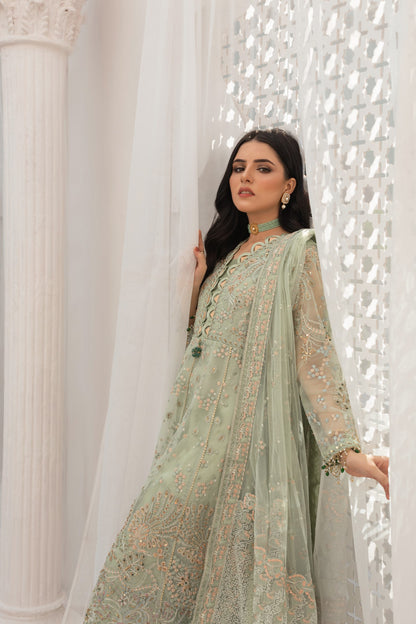 02 - DHAANI
